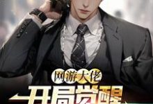 网游大佬：开局觉醒红温系统小说的无弹窗阅读体验，寻找免费阅读网站-艾米文学