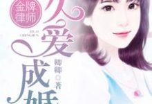 小说《金牌律师:久爱成婚》在线章节阅读-艾米文学