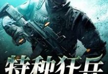 特种狂兵韩枫聂鑫雅肖娜小说大结局免费试读-艾米文学