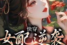 快穿:女配逆袭专业户沈帷秦书瑜在线章节免费阅读-艾米文学