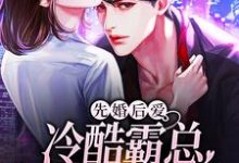 主人公云卿傅聿琛小说先婚后爱：冷酷霸总追妻路漫漫在线章节阅读-艾米文学