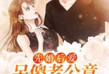 先婚后爱：呆傻老公竟成了高冷军官沈棠裴京墨小说在线章节免费阅读-艾米文学