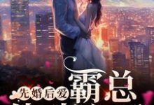 主角靳寒渊陆安然小说先婚后爱，霸总他动心了免费阅读-艾米文学