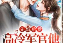 哪里能找到先婚后爱:高冷军官他又沦陷了小说的最新更新和免费章节?-艾米文学