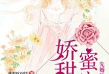 苏甜陆萧为主角的小说好看吗?免费读先婚后爱:蜜宠娇甜妻-艾米文学