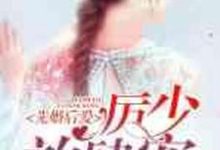 已完结小说《先婚后爱:厉少,放肆宠》章节免费阅读-艾米文学