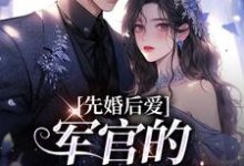 沈稚欢谢澜深小说在线章节免费阅读(先婚后爱:军官的绝世医妻无弹窗无删减)-艾米文学