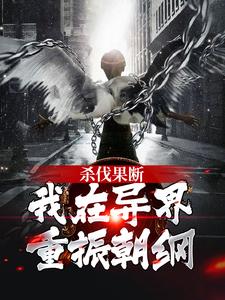 杀伐果断！我在异界重振朝纲叶无泷，杀伐果断！我在异界重振朝纲小说免费阅读