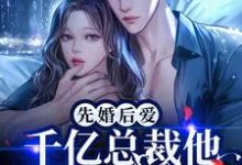 先婚后爱！千亿总裁他独宠协议娇妻这本小说在哪里可以看？哪里有免费试读章节？-艾米文学