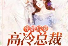 男女主人公叫陆唯一沈恪的小说免费资源-艾米文学