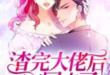 顾晚顾雪顾明宸宋清越为主角的小说渣完大佬后我又穿回来了在线阅读-艾米文学