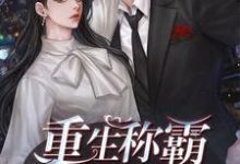 重生称霸娱乐圈免费阅读,重生称霸娱乐圈黎一诺冷廷夜-艾米文学