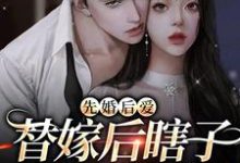 先婚后爱:替嫁后瞎子老公复明了小说完结了吗?在哪里可以免费读到?-艾米文学
