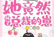 求一夜情后，她竟然怀了总裁的崽小说免费资源-艾米文学