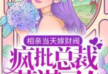 完结版《相亲当天嫁财阀,疯批总裁蓄谋已久》章节阅读-艾米文学