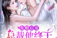 先婚后爱:总裁他终于暗恋成真了温雅江妄小说在线章节目录阅读最新章节-艾米文学