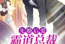 陆凌琛夏然为主角的小说好看吗？免费读先婚后爱：霸道总裁秒变粘人精-艾米文学