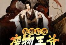 《先婚后爱：废物王爷宠妻没下限》小说主角李澈章节章节免费在线阅读-艾米文学