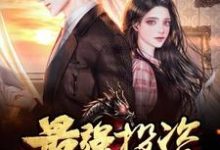 主角叫苏磊沈雨婷的小说在哪阅读-艾米文学