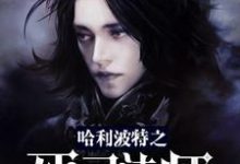 哈利波特之死灵法师小说全文阅读需要付费吗？寻找免费资源-艾米文学
