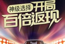 沈浪林婉雪是哪本书的主角?神级选择:开局百倍返现免费读-艾米文学