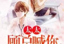 完结版《太太，顾总喊你生二胎》免费阅读-艾米文学