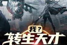 已完结小说《我？转生天才女魂师》在线章节阅读-艾米文学