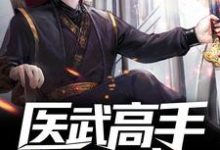 医武高手混都市免费阅读，医武高手混都市章节在线阅读-艾米文学