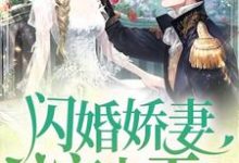 闪婚娇妻宠上天小说,闪婚娇妻宠上天最新章节-艾米文学