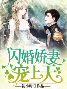 闪婚娇妻宠上天小说，闪婚娇妻宠上天最新章节