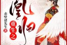 免费在线阅读重生之凰归小说的正规网站有哪些?-艾米文学