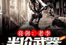 叶凡李云龙的小说在哪里看？免费在线阅读支援亮剑：我有武器清仓大甩卖-艾米文学