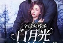 全员火葬场,白月光只想搞事业小说完结了吗?在哪里可以免费读到?-艾米文学