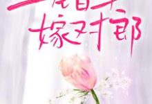 哪里能找到上错车，嫁对郎小说的最新更新和免费章节？-艾米文学
