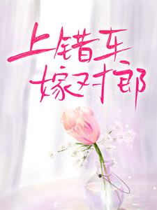 哪里能找到上错车，嫁对郎小说的最新更新和免费章节？