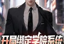 小说《开局绑定学院系统，获得新手大礼包》章节免费阅读-艾米文学