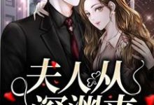 简茵熹傅霆灏小说在线章节免费阅读（夫人从深渊来无弹窗无删减）-艾米文学
