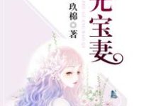 珠光宝妻小说的免费阅读版本在哪里可以找到?-艾米文学