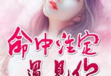 命中注定遇见你小说阅读,命中注定遇见你完结版-艾米文学
