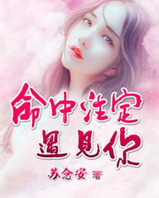 命中注定遇见你小说阅读，命中注定遇见你完结版