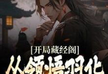 开局藏经阁,从领悟羽化不朽诀开始小说免费资源,开局藏经阁,从领悟羽化不朽诀开始在线阅读-艾米文学