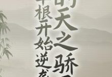 从草根开始逆袭的天之骄子这本小说怎么样？免费在线阅读试试-艾米文学
