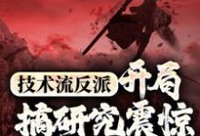 曹骞小说《技术流反派：开局搞研究震惊万界主角》在线阅读-艾米文学