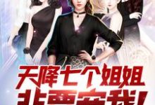 王术莫向晚白吟霜沈冰的故事在哪本书里？免费阅读天降七个姐姐非要宠我！-艾米文学