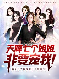 男女主人公王术莫向晚白吟霜沈冰小说天降七个姐姐非要宠我！章节免费阅读