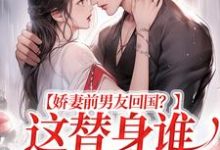 娇妻前男友回国？这替身谁爱当谁当（王逸风）在线免费阅读-艾米文学