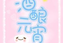 酒酿元宵免费阅读,酒酿元宵章节在线阅读-艾米文学