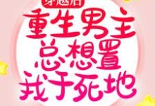 穿越后,重生男主总想置我于死地小说,穿越后,重生男主总想置我于死地免费阅读-艾米文学