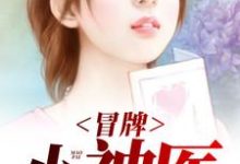 江许纪晓雁是哪本书的主角？寻找冒牌小神医免费阅读-艾米文学