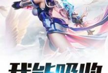 主人公叫叶寒天剑宗的小说哪里免费看-艾米文学